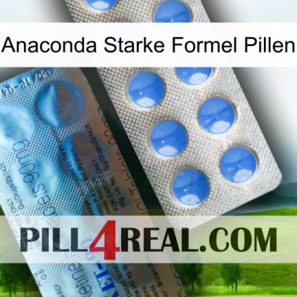 Anaconda Strong Formula Pills 40